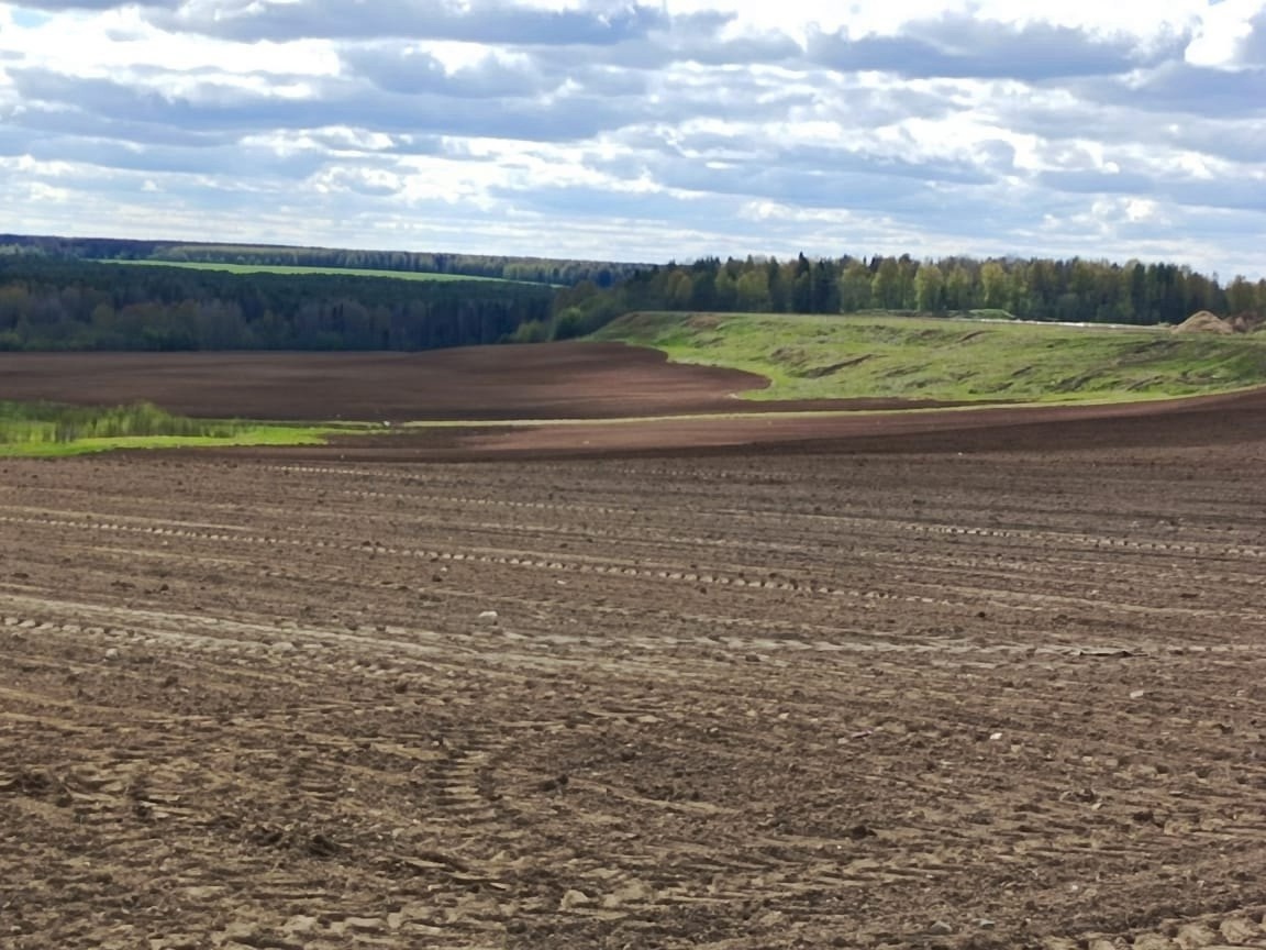 Посевная кампания в Архангельской области